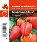 Tomaat Coeur de Boeuf (tray 12 pot)
